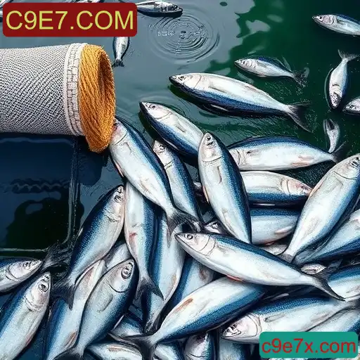 Pesca